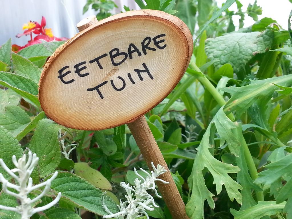 B&B Lomolen Άαλτερ Εξωτερικό φωτογραφία